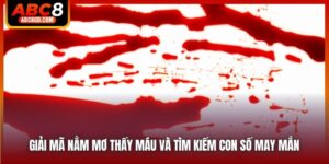 Giải Mã Nằm Mơ Thấy Máu Và Tìm Kiếm Con Số May Mắn