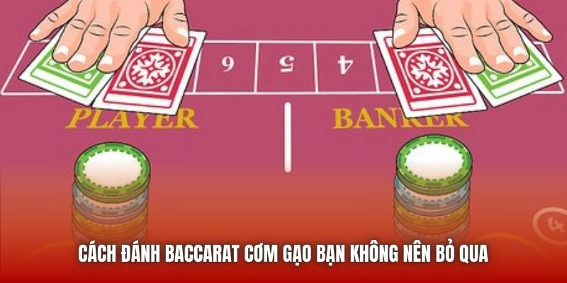 Cách Đánh Baccarat Cơm Gạo Bạn Không Nên Bỏ Qua