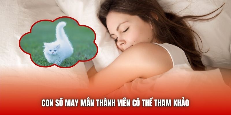 Con số may mắn thành viên có thể tham khảo 