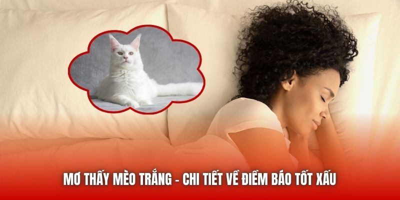 Mơ Thấy Mèo Trắng | Chi Tiết Về Điềm Báo Tốt Xấu